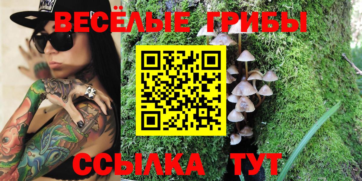 Павловский Посад  где найти   Вход с VPN  Псилоцибиновые грибы прущие грибы 