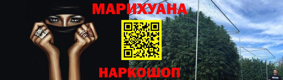 Конопля тримм  Вход с VPN  Павловский Посад  Канабис план 
